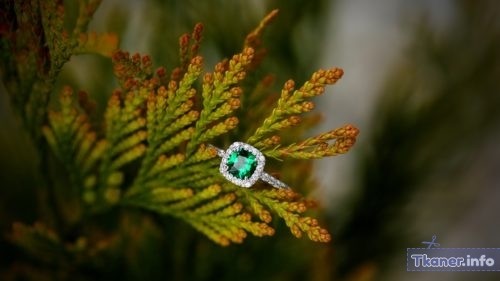 Кольцо в траве