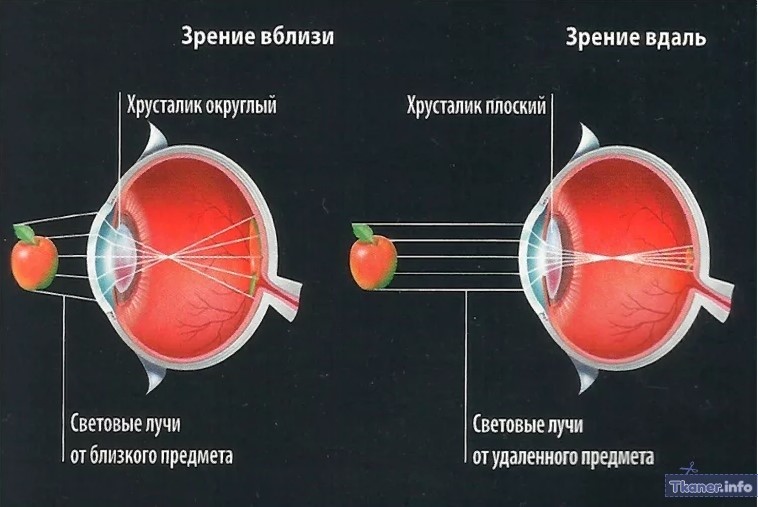 Как узнать что очки не подходят. Смотреть фото Как узнать что очки не подходят. Смотреть картинку Как узнать что очки не подходят. Картинка про Как узнать что очки не подходят. Фото Как узнать что очки не подходят