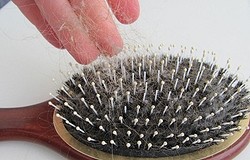 Как почистить расчёски из разного материала от волос