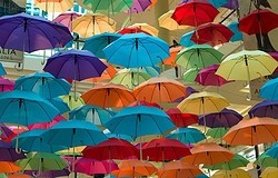 Что такое зонт? Какие бывают зонты? Зонт-перевёртыш — это что? Особенности реверсивного механизма.