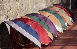 Как выбрать зонт