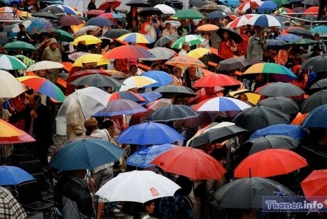 Толпа под зонтами
