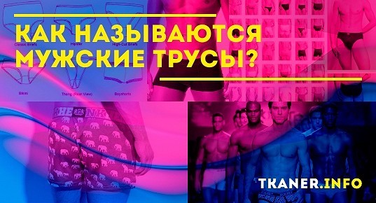 Как называются мужские трусы? Определение мужских трусов и виды с ...