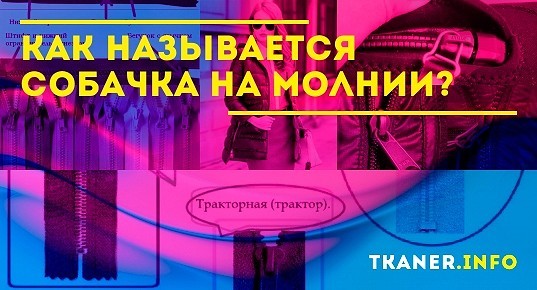 Кенгурятник как правильно называется