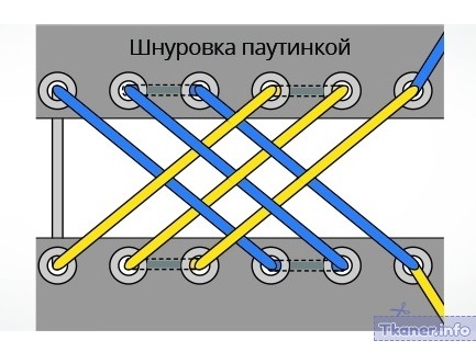 Паутинкой