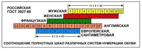 Размеры - соотношение полноты ноги в разных странах