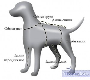 Схема собаки для пошива манекена