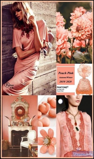 Peach Pink в одежде
