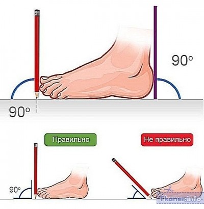 Мерки ноги