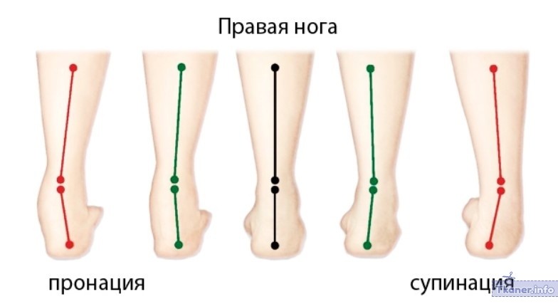 Правая нога