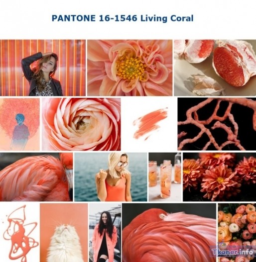 Living Coral