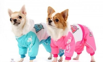 Розовый и голубой дождевики для собак