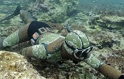 Как выбрать костюм для подводной охоты? Виды дайверской амуниции. Критерии покупки идеального костюма для дайвинга.