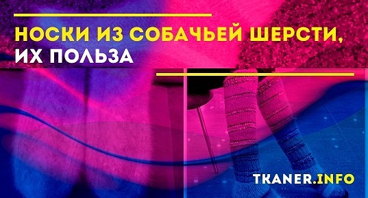 Носки из собачьей шерсти: польза, свойства и особенности