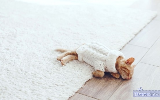 Котик в свитере