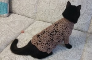 Кошке свитер_2