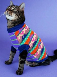 Многоцветный свитер для кота