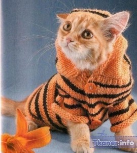 Тигриный свитерок для кота