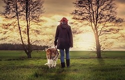 В чём ходить на прогулку с собакой, а в чём гулять не стоит
