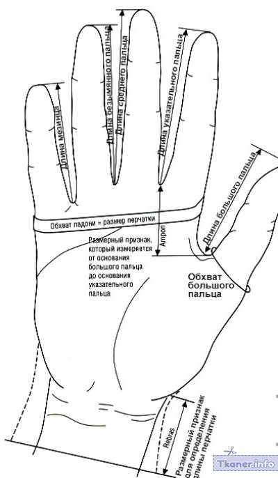 Перчатки без пальцев мерки руки