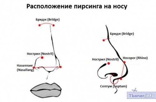 Пирсинг носа