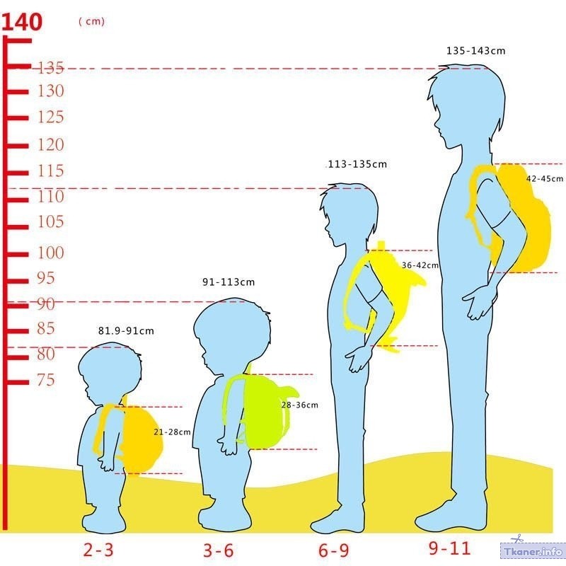Высота спинки рюкзака в зависимости от возраста ребенка