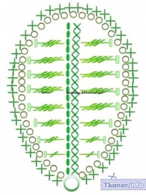 Цветы лотос 1
